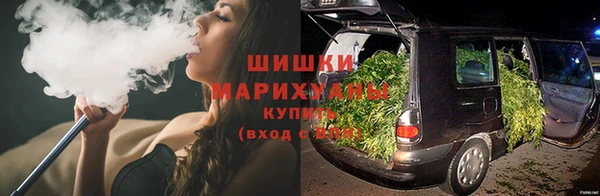 ГАЛЛЮЦИНОГЕННЫЕ ГРИБЫ Балахна