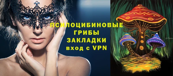 ГАЛЛЮЦИНОГЕННЫЕ ГРИБЫ Балахна